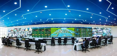 金鼎鋼鐵 以信息技術研發之“綠”，鑄就發展底色中的別樣“紅”